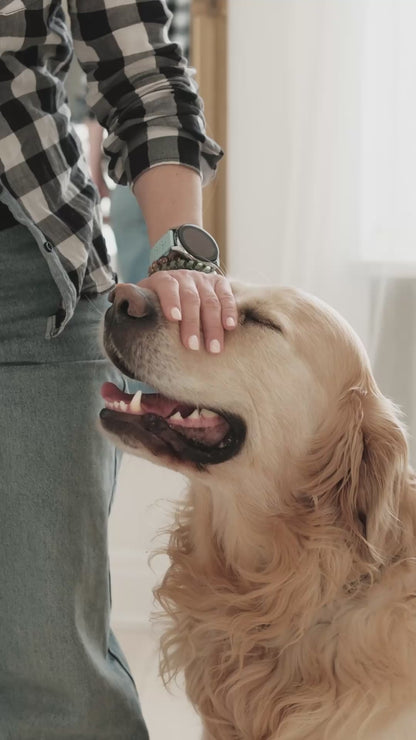 alfa PXP PET FORMULA