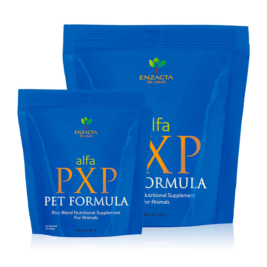 Two blue packages of alfa PXP PET FORMULA, the 60g bag and the 225g bag.